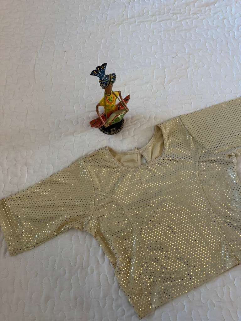 Pale Gold Chamki Stretchable Blouse