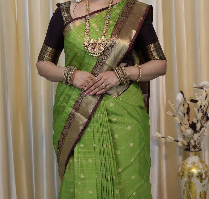 Green and Brown Soft Katan Silk Saree